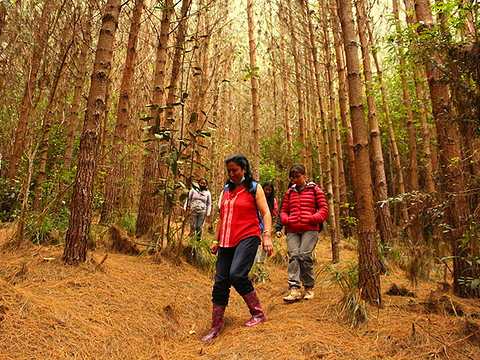 Tour De Las Cascadas, Circunvalar Galeras - Genoy, La Florida Y Sandoná